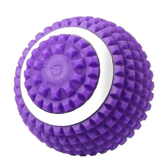 Electric Massage Ball 4-Speed Vibrating Massage Ball